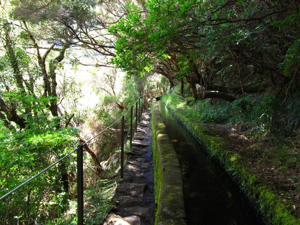 Beautiful View 1 - Arco Da Calheta - Ilha Da Madeira Apartment Екстериор снимка